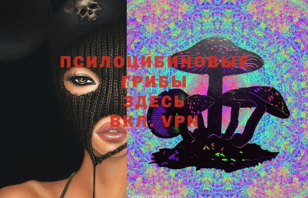 тгк Гусь-Хрустальный