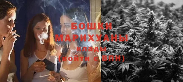 тгк Гусь-Хрустальный