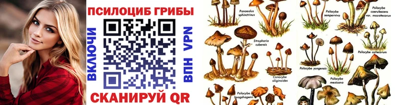 Купить где  Карабаш  Псилоцибиновые грибы Magic Shrooms 